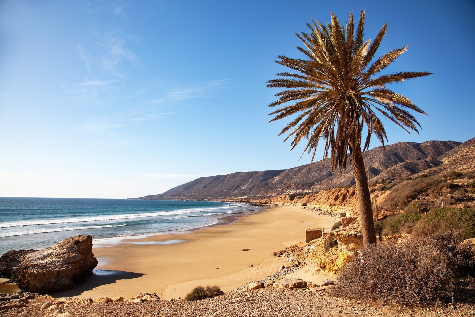 The palm-lined coastline near Taghazout and Agadir, Morocco