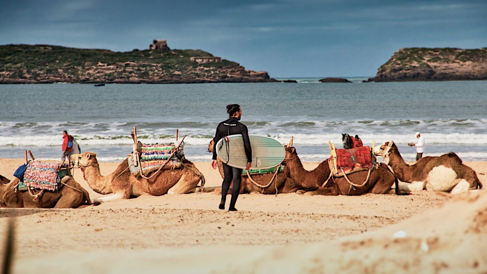 Surfer carrying a surfboard past camels resting on the golden beach of Taghazout, Morocco
